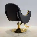 H0e0344f8dc6d4c629b39ba0ba04108cbr.webp