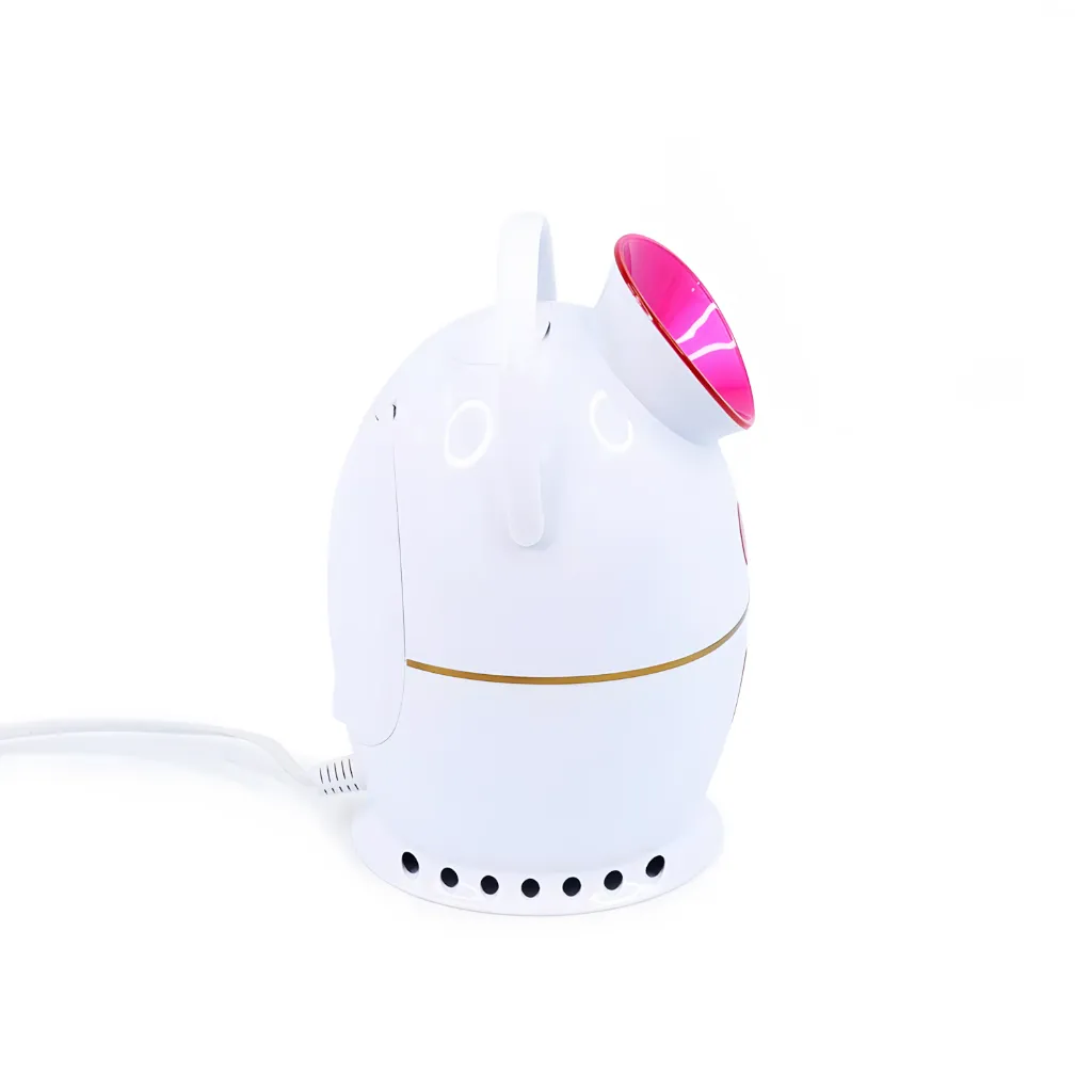 545_upscayl_1x_upscayl-standard-4x.webp